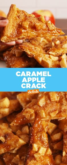 Caramel Apple CrackDelish Caramel Apples Recipe, Caramel Apples Easy, Crescent Recipes, Caramel Apple, Pampered Chef, Fruit Desserts, Pavlova, Apple Recipes, Caramel Apples