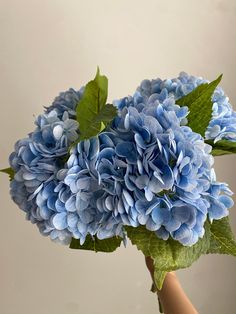 a bouquet of blue hydrangeas in a vase with green leaves on the stems