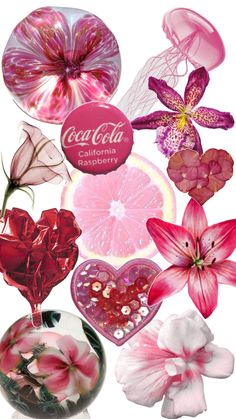 pink and red flowers in vases with coca - cola logo on the top one