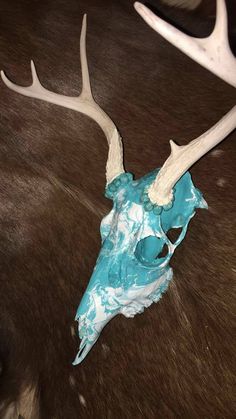 an animal skull with blue paint on it's antlers