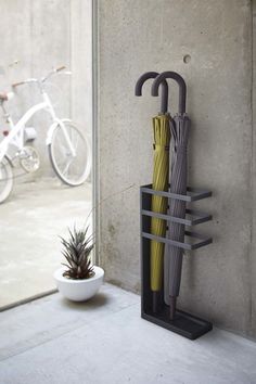 two umbrellas are hanging on the wall next to a potted plant and bike