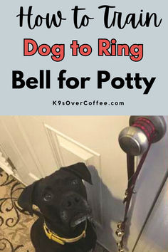 Black dog sitting next to dog bells for potty training that are hanging from a door. Dog Bells For Door Potty Training Diy, Bell Training Puppy, Yorkie Potty Training, Dog Potty Box, Dog Crate Training, Dog Door Bell, Potty Bells, Crate Training Dog, Dog Trick