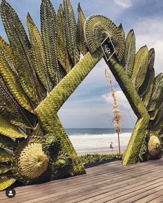 an instagram photo taken on the beach with palm trees