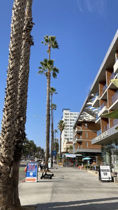 palm trees line the street in front of an apartment building