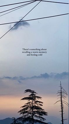 the power lines and trees are silhouetted against an overcast sky with a quote written on it