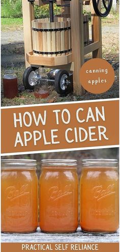 Learn how to go about canning apples as you explore the ins and outs of how to can apple cider. Our guide offers a homemade apple cider canning recipe, ensuring you capture the essence of fall in every jar. From selection to water bath canning, embrace the joy of home canning and savor the flavors of the season.