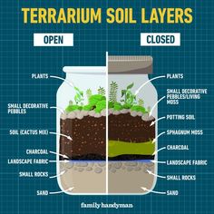 the layers of terrarium soil layers in a jar