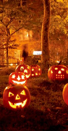 pumpkins carved to look like jack - o'- lantern faces in the grass