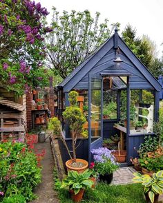 a small blue greenhouse with potted plants and flowers in the front yard, surrounded by trees