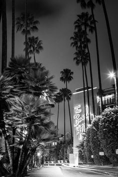 black and white photograph of palm trees in front of the blvd hotel at night