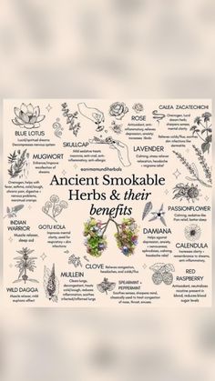 Herbs To Mix With Bud, Herbs For Migraines, Smokeable Herbs And Flowers, Smokable Herb Blends, Smokeable Herbs, Herbs And Their Benefits, Smokable Herbs, Medicinal Herbs Remedies, Dream Herbs