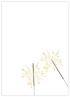 two yellow dandelions against a white background