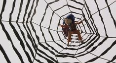 a doll is suspended in the middle of a spider web