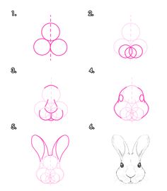 how to draw a rabbit's head with different shapes and sizes, step by step