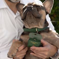 a man holding a small dog in his lap while wearing a green collar and leash