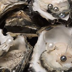 an assortment of oysters with pearls on them