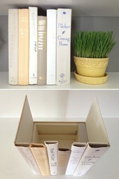 two shelves with books and a plant on top of each shelf in front of them