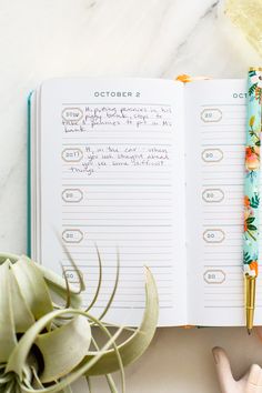 an open planner book next to a potted plant on a white table with a gold pen