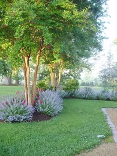 the garden is full of flowers and trees, including this tree in the middle of the yard