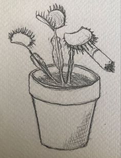 a pencil drawing of a potted plant with two flowers in it and the stems sprout out