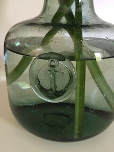 a glass vase with water and green stems in the bottom, sitting on a table