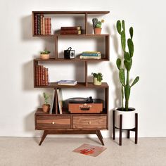 a wooden shelf with books, plants and other things on it next to a potted plant