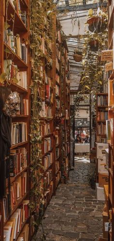 Library Aesthetic Wallpaper Light Cottagecore Aesthetic Wallpaper, Cottage Core Architecture, Book And Art Aesthetic, Quirky Academia Aesthetic, Autumn Core Bedroom, Cottage Core Photo Wall, Light Library Aesthetic, Light Academia Architecture, Cottage Core X Dark Academia