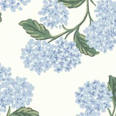 a blue and white flowered wallpaper with green leaves on the top of it