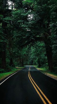 a person walking down the middle of a road with trees in the background and text overlay that reads free