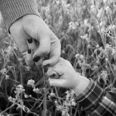 black and white photograph of two hands touching each other with flowers in the foreground