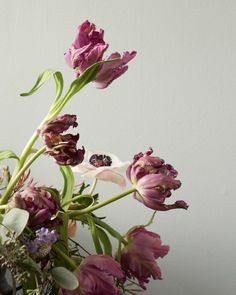 a vase filled with purple and white flowers