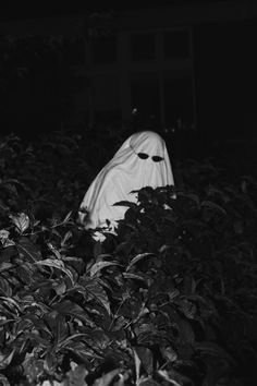 a ghost in the middle of some bushes