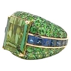 Ring White 18K Gold Green tourmaline 9.24 ct Sapphires 2.74 ct Tsavorites 8.24 ct Weight 14,5 grams It is our honour to create fine jewelry, and it’s for that reason that we choose to only work with high-quality, enduring materials that can almost immediately turn into family heirlooms. From our selection of precious metals set with genuine precious stones, you can rest assured that NATKINA is jewelry for your everyday life, forever It is our honour to create fine jewelry, and it’s for that reason that we choose to only work with high-quality, enduring materials that can almost immediately turn into family heirlooms. From our selection of precious metals set with genuine precious stones, you can rest assured that NATKINA is jewelry for your everyday life, forever Luxury Green Crystal Ring Fine Jewelry, Luxury Tsavorite May Birthstone Ring, Luxury Green Tsavorite Diamond Ring, Luxury Tsavorite Birthstone Ring For Engagement, Tsavorite Ring, Family Heirloom, Green Tourmaline, White Ring, Cocktail Rings