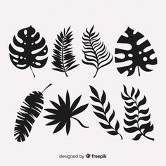 black and white tropical leaves silhouettes