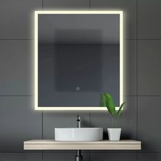 a bathroom with a sink, mirror and potted plant on the counter in front of it