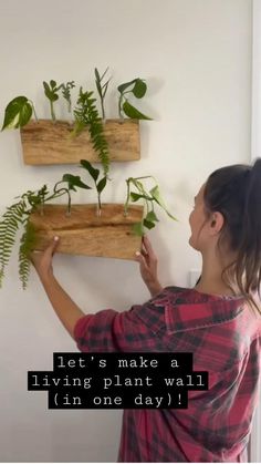 Learn how to make an easy DIY propagation station using live edge wood to help propagate your indoor plants!  Save this idea for later! 📌  Follow for more EASY beginner woodworking projects just like this one! Creative Indoor Plant Ideas, Propagation Wall Ideas, Diy Plant Propagation Station, Plant Diy Projects, Propagation Shelf, Propagation Station Diy, Diy Propagation Station, Diy Propagation, Propagation Wall