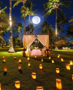 many lit candles are placed in the grass near palm trees and a gazebo at night