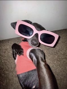 a dog wearing sunglasses laying on the floor with its paws up to it's face