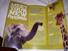 an elephant and giraffe are shown in this brochure