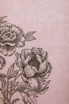 an ink drawing of three flowers on a pink background