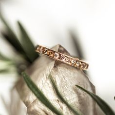 This gorgeous piece was made to stand out day or night! The Champagne Diamond Pea Pod Eternity Ring is a channel set band that has champagne diamonds strung together neatly in a perfect row. Its beauty was made to reflect that everlasting love you'll share for years to come. Luxury Rose Gold Channel Set Jewelry, Luxury Rose Gold Jewelry With Channel Set, Rose Gold Diamond Band In Fine Jewelry Style, Rose Gold Diamond Eternity Band For Promise, Elegant Gold Eternity Band With Diamond Accents, Rose Gold Diamond Promise Eternity Band, Rose Gold Diamond Accents Promise Jewelry, Fine Jewelry Eternity Band For Promise, Rose Gold Promise Jewelry With Diamond Accents