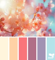 the color scheme is peach, pink and blue with some white flowers on it's branches