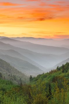 the mountains are covered in fog and clouds at sunrise or sunset, with trees on either side