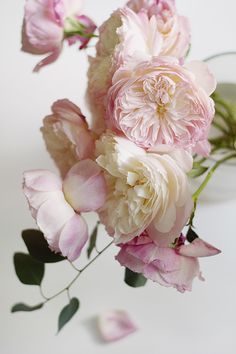 pink and white flowers are in a vase