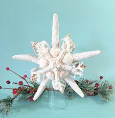 a white starfish decoration with red berries and greenery on a blue background in the shape of a snowflake