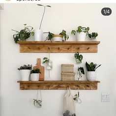 two wooden shelves filled with potted plants