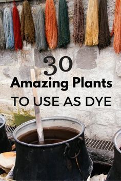 there are several pots with plants in them and the words 30 amazing plants to use as dye