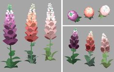 the flowers are all different colors and shapes