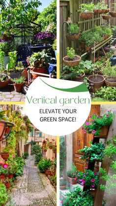 several pictures of different plants in pots and on the ground with text overlay that reads vertical garden elevate your green space