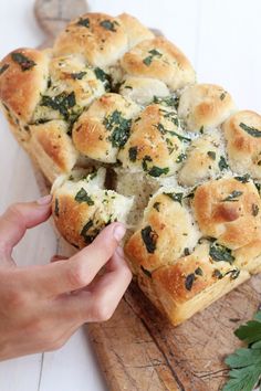 a person holding a piece of bread with cheese and spinach